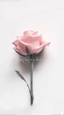 Приглашаем к сотрудничеству!